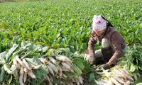 La réduction de la pauvreté, grande performance du Vietnam